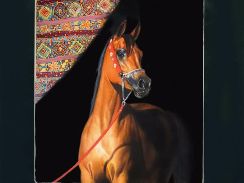 الجلسة الاولى : فريستايل (Single)