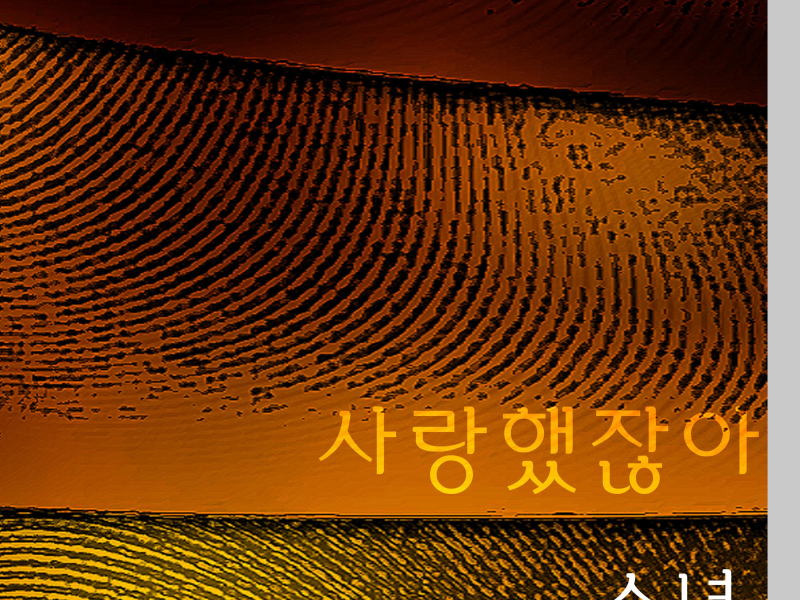 사랑했잖아 (Single)