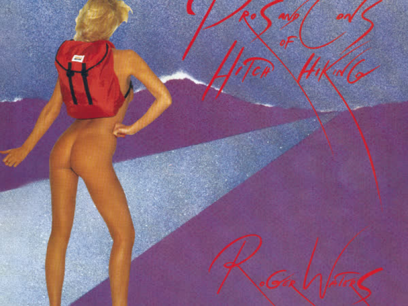 The Pros And Cons Of Hitch Hiking