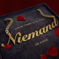 Niemand (De Enige) (Single)