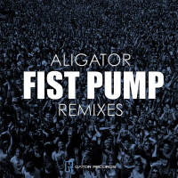 Fist Pump Remixes