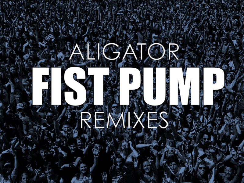 Fist Pump Remixes