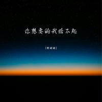 你想要的我给不起 (EP)