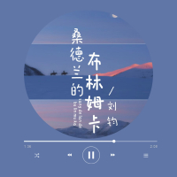 桑德兰的布林姆卡 (Single)