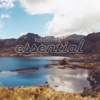 Essential (Single)