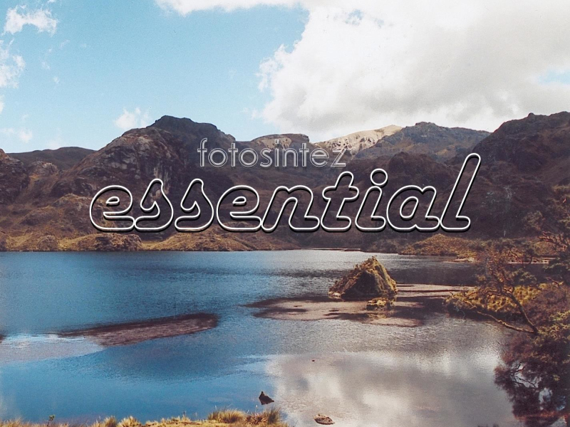 Essential (Single)