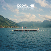 In A Perfect World (Expanded Edition)