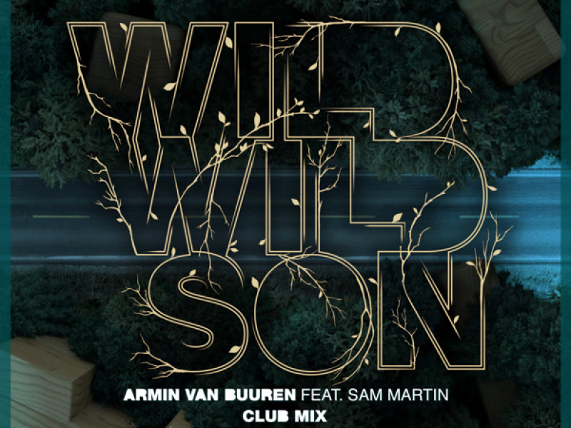Wild Wild Son (Club Mix) (Single)