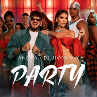 Party (Single)