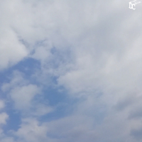 pockets and monsters (Single)