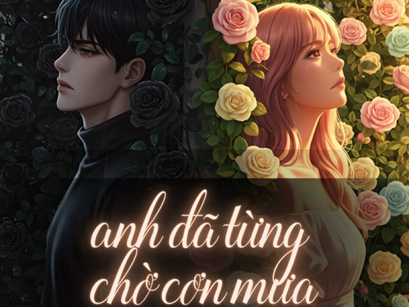 Anh Đã Từng Chờ Cơn Mưa (Single)