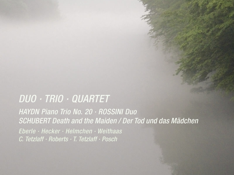 Haydn, Rossini & Schubert: Duo, Trio & Quartet