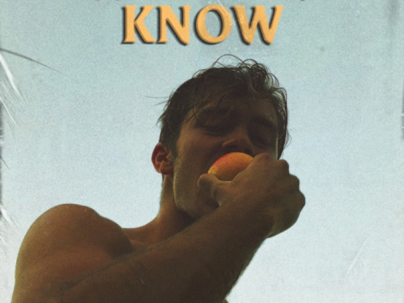 I Wouldn't Know (Single)