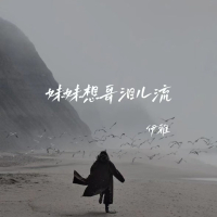 妹妹想哥泪儿流 (Single)