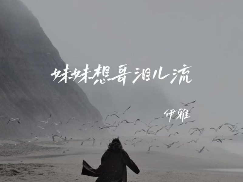 妹妹想哥泪儿流 (Single)