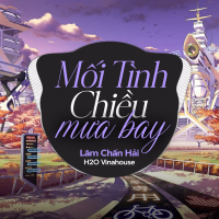 Mối Tình Chiều Mưa Bay (Remix) (Single)