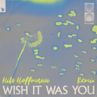 Wish It Was You (Nils Hoffmann Remix) (Single)