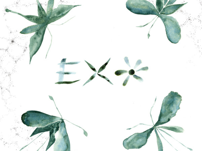 Exo