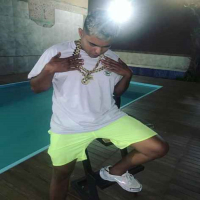 FREIO DA VIATURA (Single)