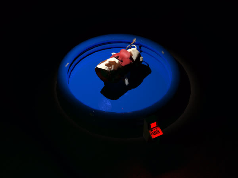 Take a Ride (Single)