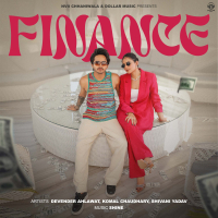 Finance (Single)
