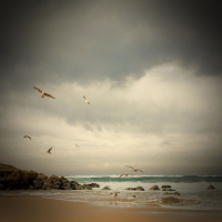 Sound of Sea Waves and Seagulls to Relax and Calm the Mind (Single)