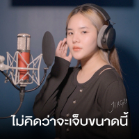 ไม่คิดว่าจะเจ็บขนาดนี้ (Single)