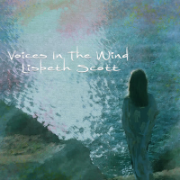 Voices In The Wind (Single)