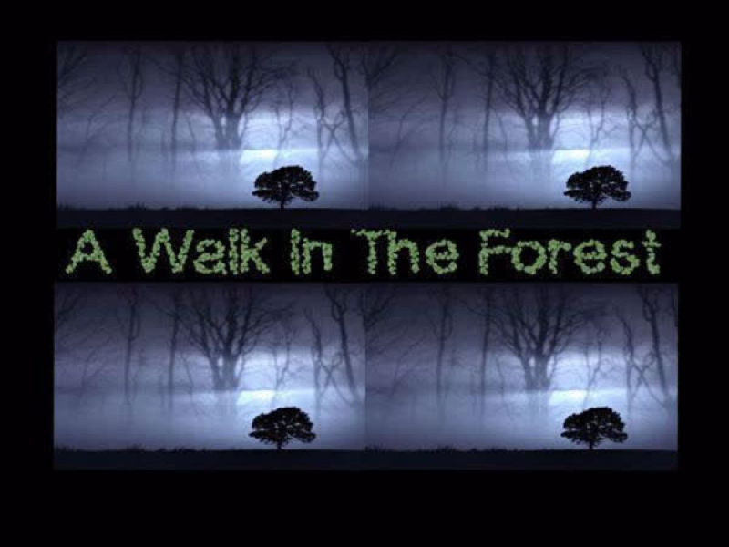 A Walk In The Forest