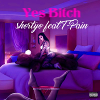 Yes Bitch (feat. T-Pain) (Single)