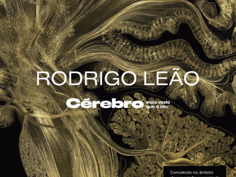 Cérebro - Mais Vasto Que o Céu