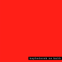 Kaybedecek Ne Kaldı (Single)