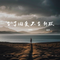 负了旧爱不负新欢 (DJ版) (Single)