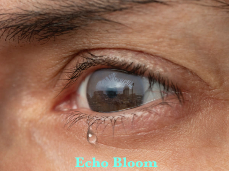 Silent Tears (Single)