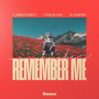Remember Me (Single)