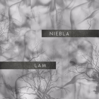 Niebla (Single)