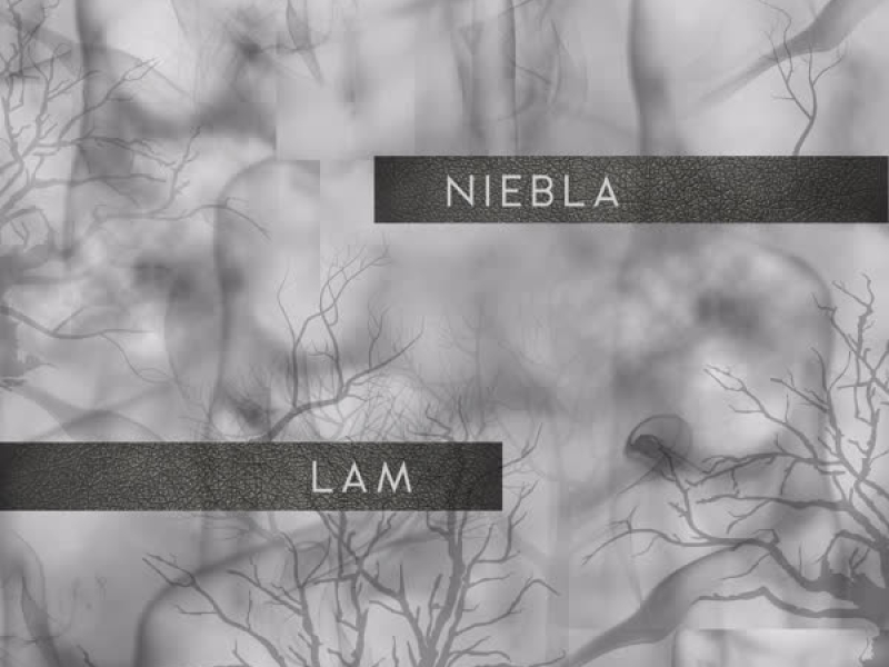 Niebla (Single)