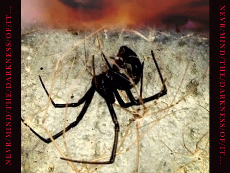 Never/Mind/The/Darkness/Of/It...