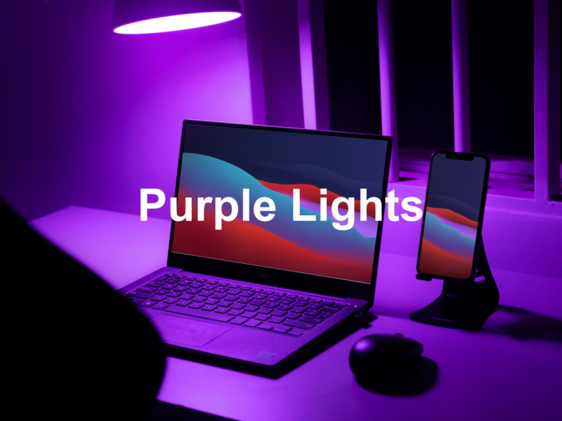 Purple Lights (Single)