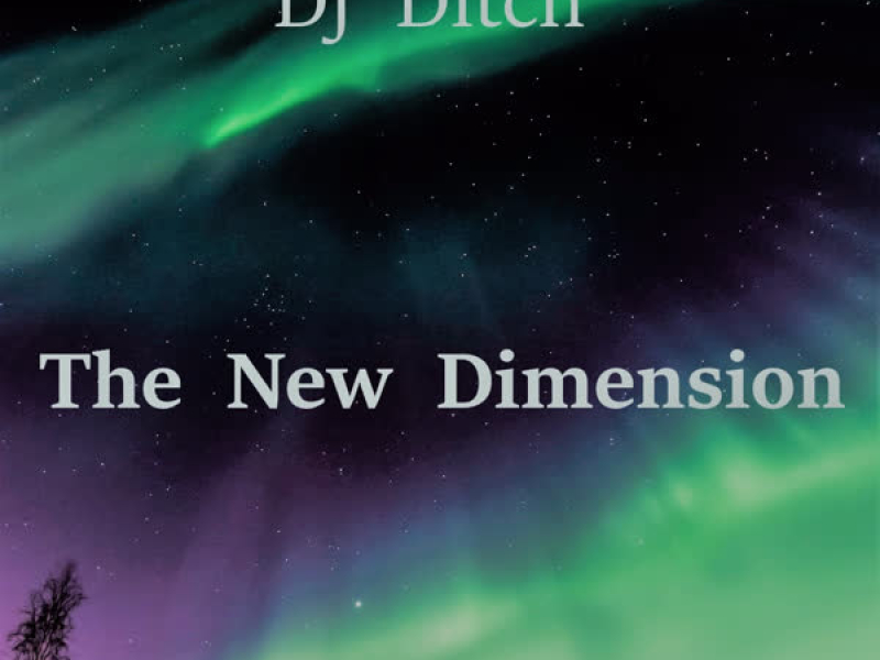 The New Dimension (Single)