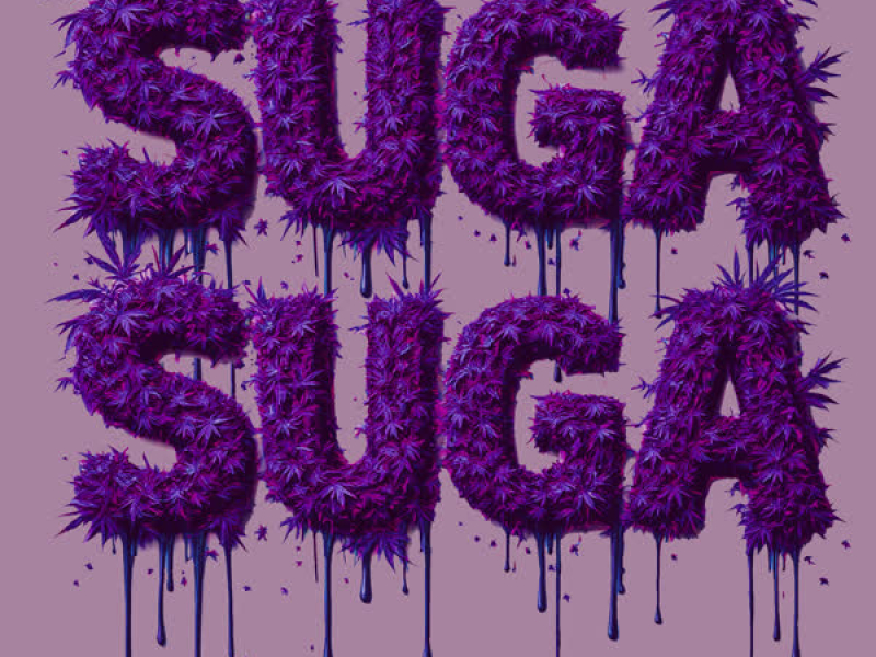 Suga Suga (Acoustic Version) (Single)