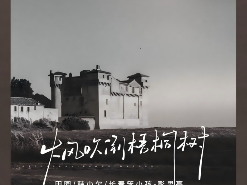 大风吹倒梧桐树 (扎心版) (Single)