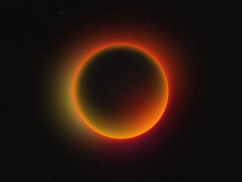 Use Somebody (Single)