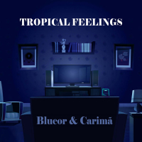 Tropical Feelings (Single)