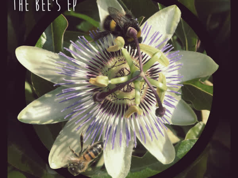 The Bees EP