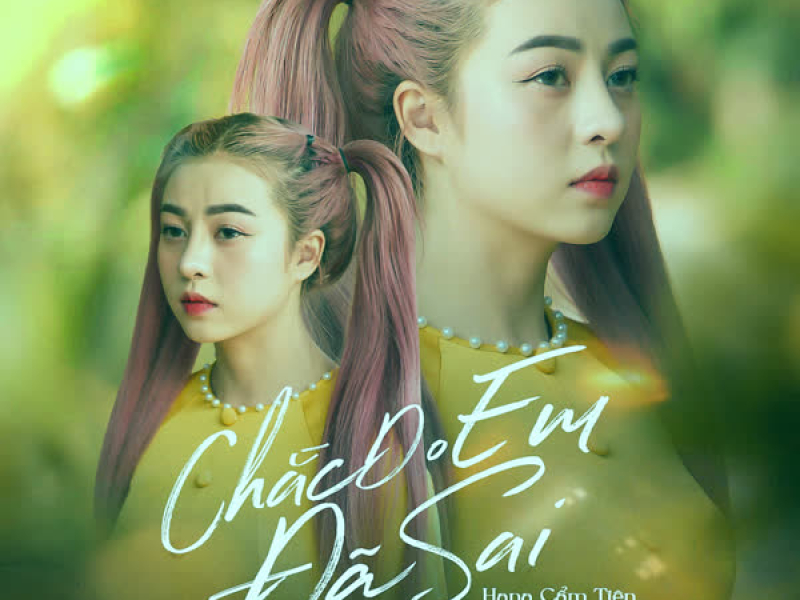 Chắc Do Em Đã Sai (Instrumental) (Single)