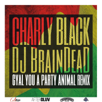 Gyal You A Party Animal (DJ BrainDeaD Remix) (Single)