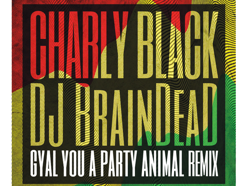 Gyal You A Party Animal (DJ BrainDeaD Remix) (Single)