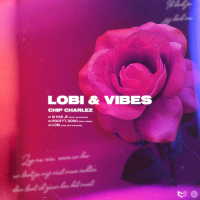 Lobi & Vibes