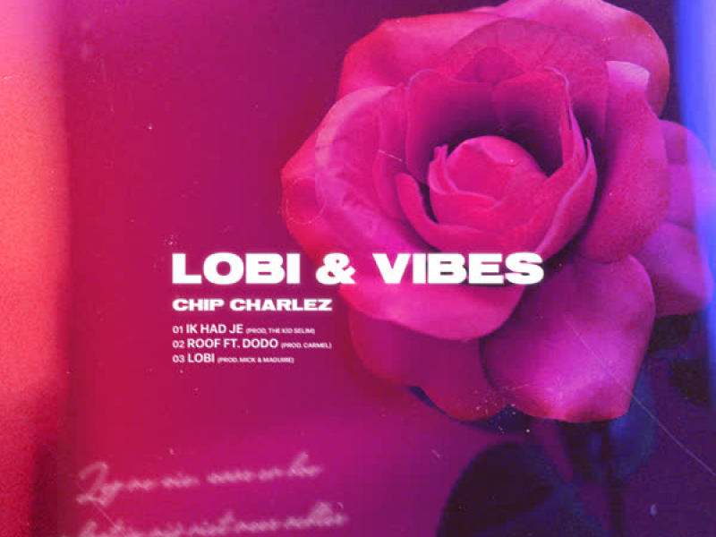 Lobi & Vibes